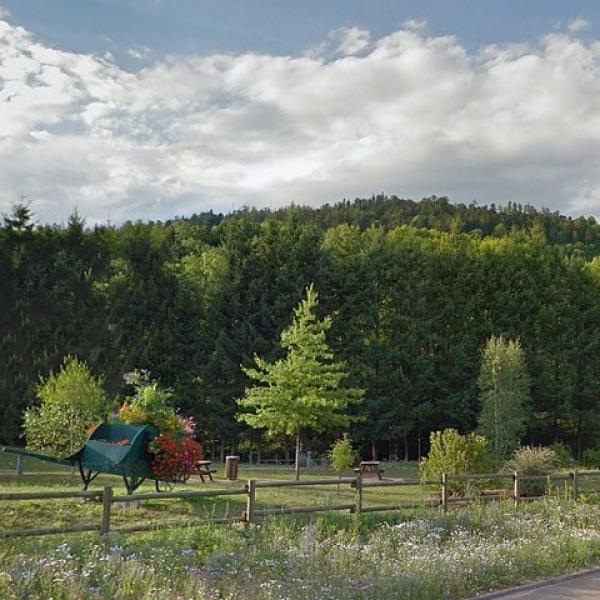 Picknickplaats : Pré taureau