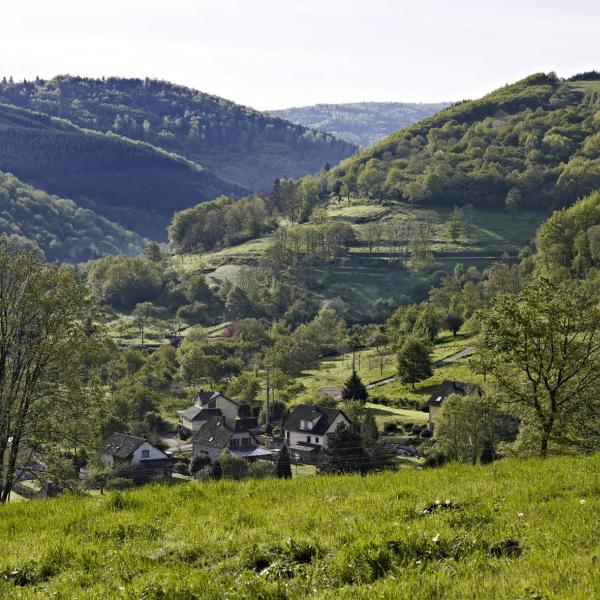 Wandelroute B01: De wijngaard