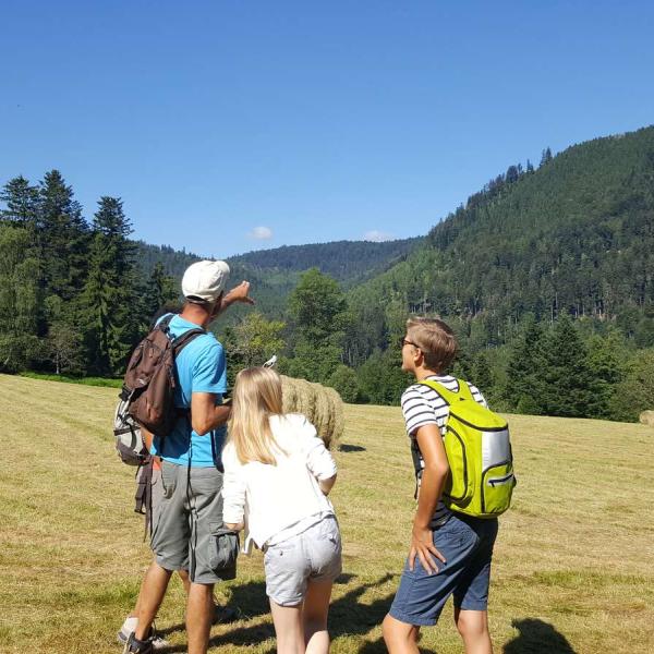 Kinderwagen circuit C03: sur la route de la Falle