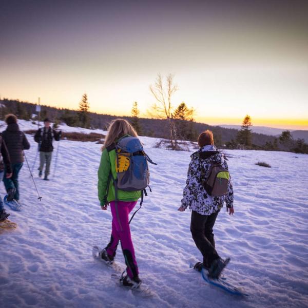 Sneeuwschoenwandeling CDF03: Van Struthof tot Champ du Messin