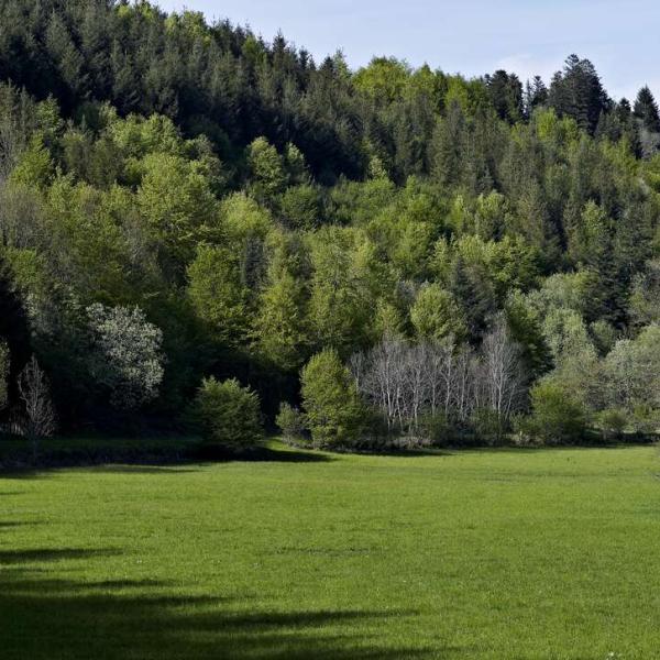 Wandelroute C33: Van Schirmeck naar de Vierge de Fréconrupt