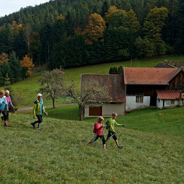 Colbéry Nordic Walking Tour: naar de bosweg St. Oury