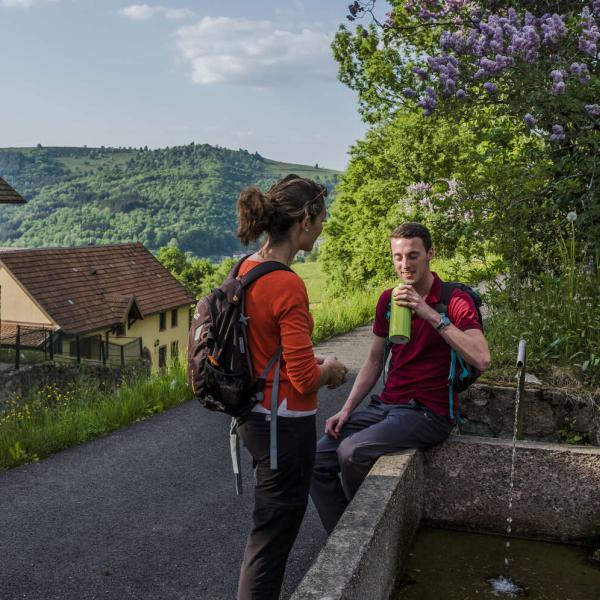 Wandeltour H22 : De grote ronde van Saulxures