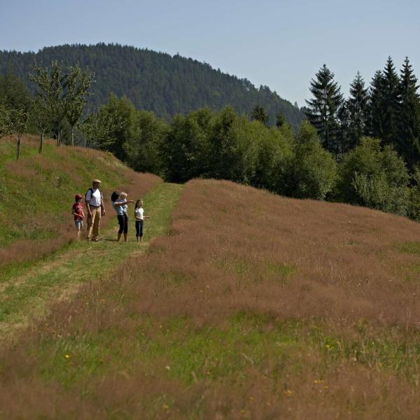 Wandeltour C36 : De balkons-van-la-Rothaine
