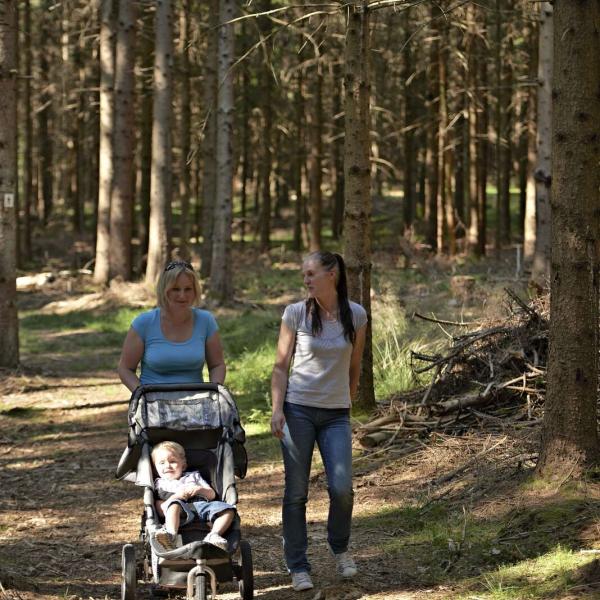 Outdoor Kinderwagen Ciruit CDF01 : Van Bellefosse naar het uitkijkpunt Boucherie