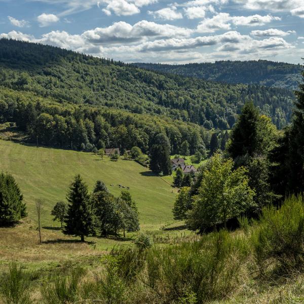 Outdoor Kinderwagen Ciruit H05 : De open plek van Hang-parcours 2