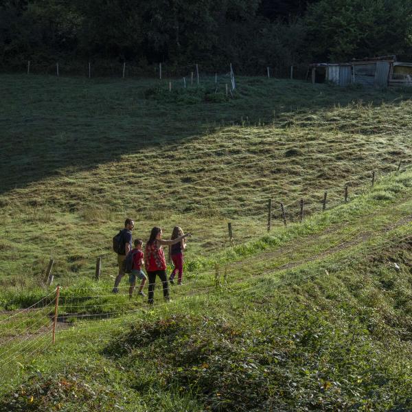 Kinderwagen circuit B04 : Park en botanische route in Urmatt