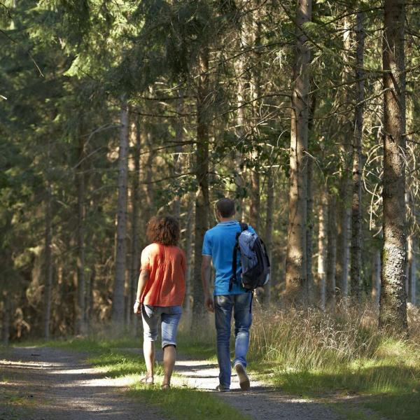 Kinderwagen circuit B05 : Aan de oevers van de Netzenbach
