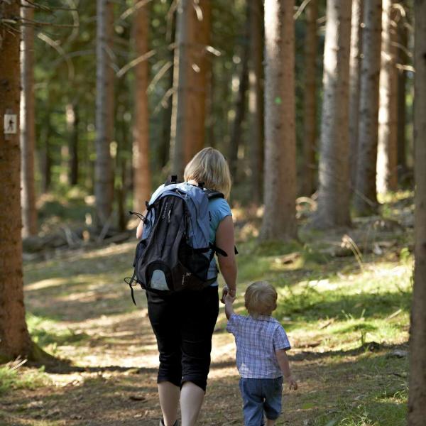 Kinderwagen circuit H06 : Van Saulxures tot Bourg-Bruche