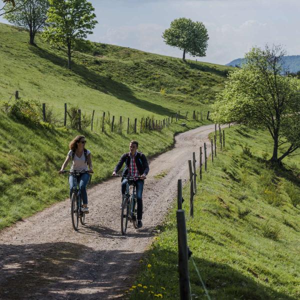Fietsroute C27: Van Schirmeck naar Wangenbourg via de Donon en het Haslachdal