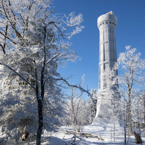 CDF16 wandelroute: Rondleiding door het riet van Veaux